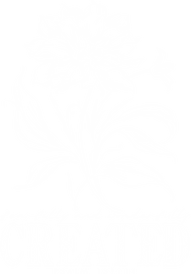 **SEPTEMBER** Custom Order T-Shirts (L7)